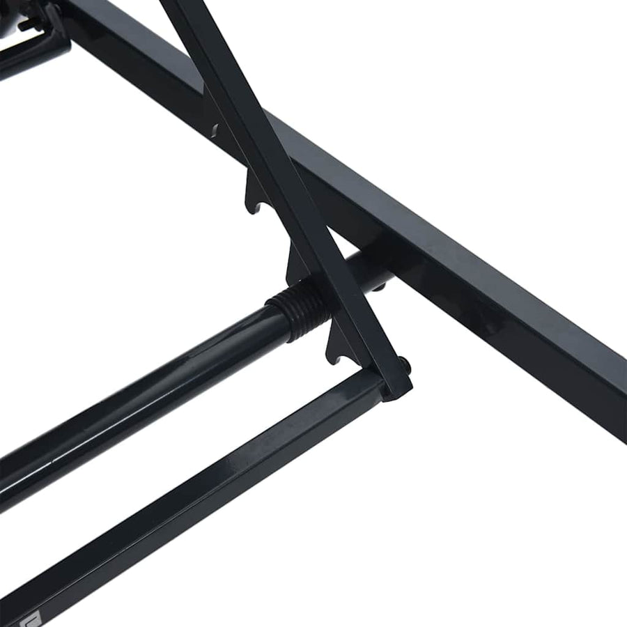 Zonnebedden 2-persoon 3 pcs Zwart en Anthraciet Staal