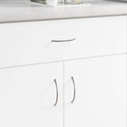 Kastgreep 107x36x23 mm roestvrij staal zilver 12 stuks