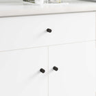 Cabinet Knobs 968 pcs Black Iron
