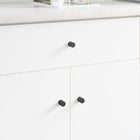 Kastknop ijzer zwart 18x23 mm (2 stuks)