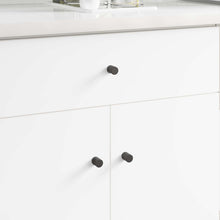 Kastknop 12 pcs Zwart 18 x 23 mm IJzer