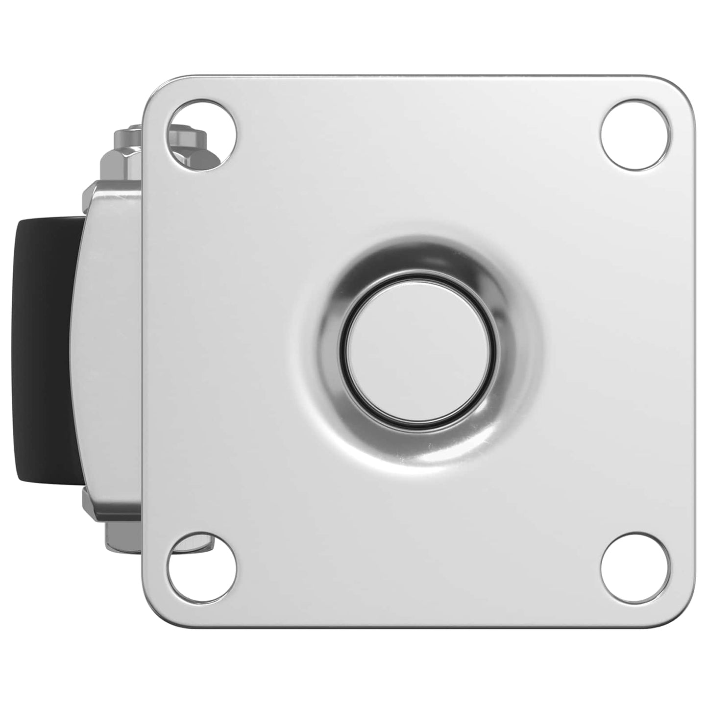 Caster 2 pcs Zilver 50 mm Nylon