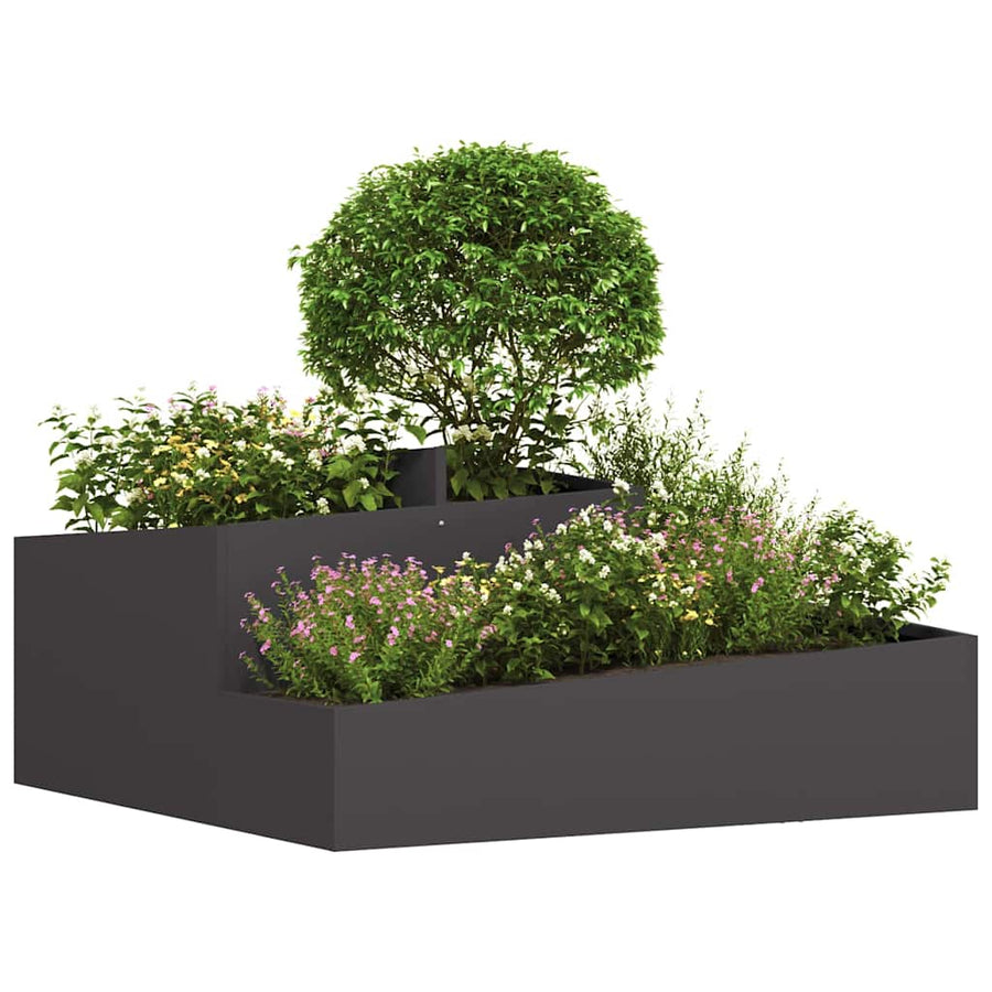 Tuin Bloempot Zwart 100 x 100 x 50 cm Koudgewalst staal