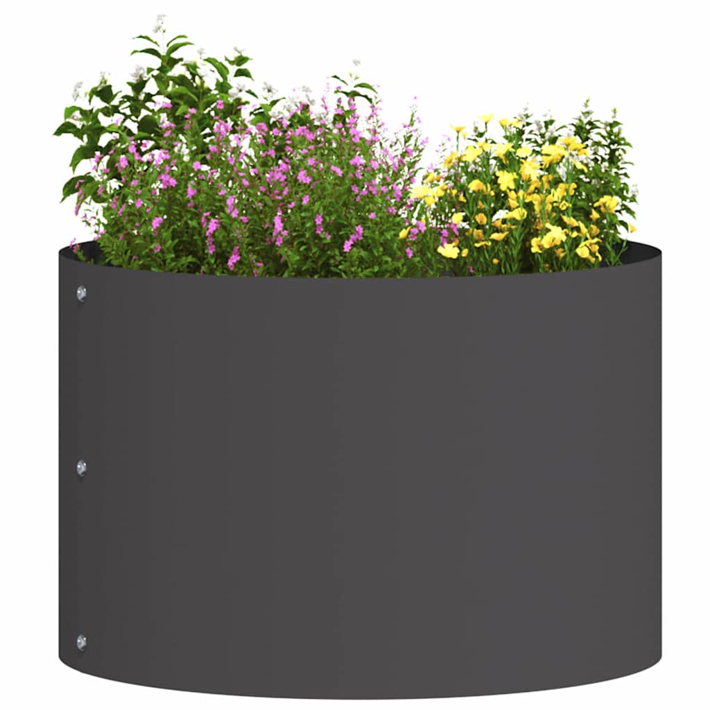 Plantenring 5 pcs Zwart 30 x 30 x 20 cm Koudgewalst staal