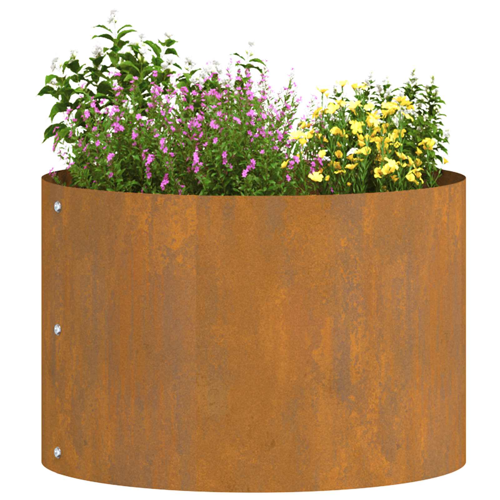 Plantenring 5 pcs Bruin 30 x 30 x 20 cm Cortenstaal