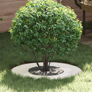 suitable for flat tree rings 5 pcs White Ø30 / 60 cm Steel