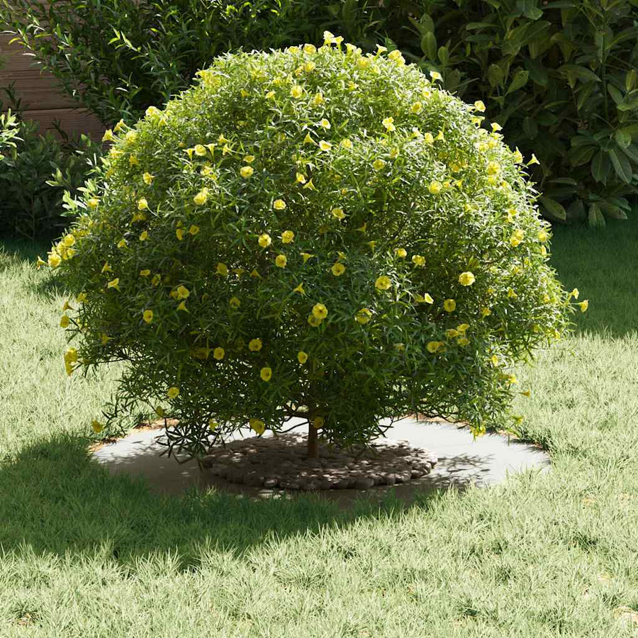 geschikt voor platte boomringen 5 pcs Wit Ø30 / 60 cm Staal
