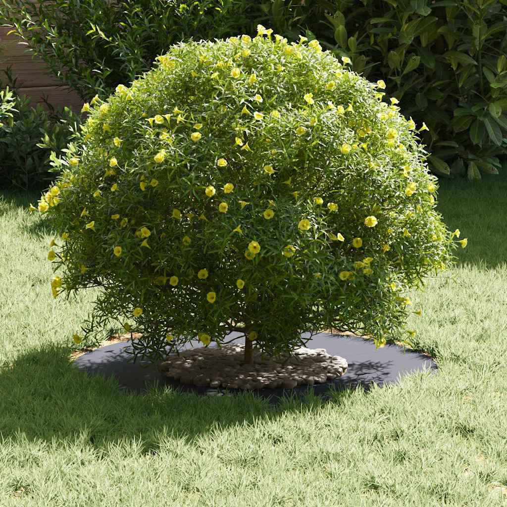 geschikt voor platte boomringen 5 pcs Antraciet Ø30 / 60 cm Staal