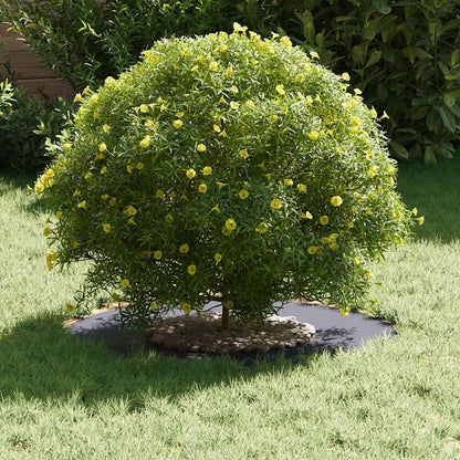 geschikt voor platte boomringen 5 pcs Antraciet Ø30 / 60 cm Staal