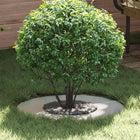 suitable for flat tree grate Silver Ø30 / 60 cm