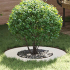 suitable for flat tree grate White Ø40 / 70 cm Steel