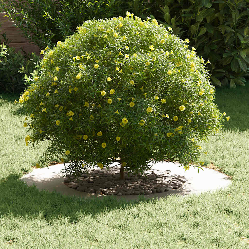 geschikt voor platte boomringen 5 pcs Wit Ø40 / 70 cm Staal