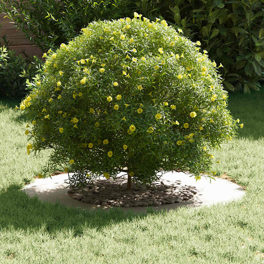geschikt voor platte boomringen 5 pcs Wit Ø40 / 70 cm Staal