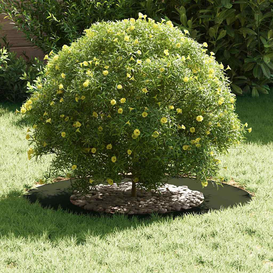 Boomring Olijf Groen Ø40 / 70 cm Koudgewalst staal