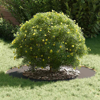 geschikt voor platte boomringen 5 pcs Zwart Ø50 / 80 cm Staal