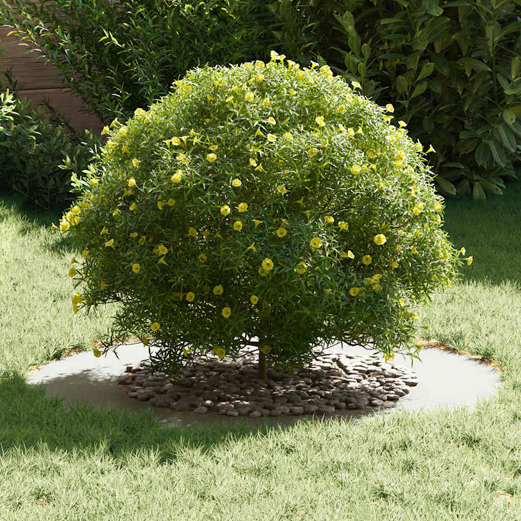 geschikt voor platte boomringen 5 pcs Wit Ø50 / 80 cm Staal