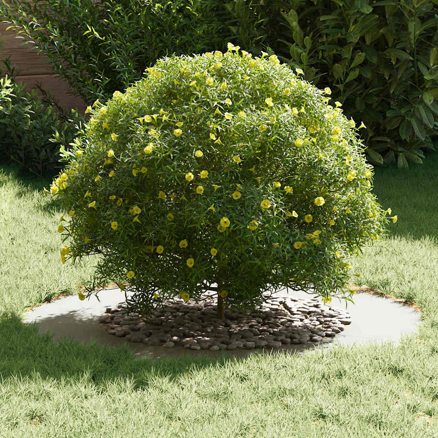 geschikt voor platte boomringen 5 pcs Wit Ø50 / 80 cm Staal