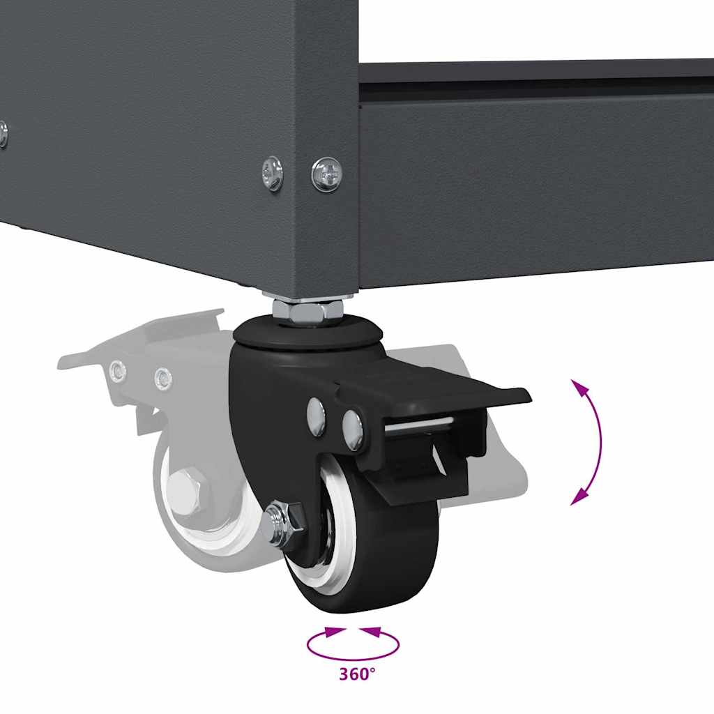 Gereedschapswagen Antraciet 65 x 35 x 111 cm Poedergecoat staal