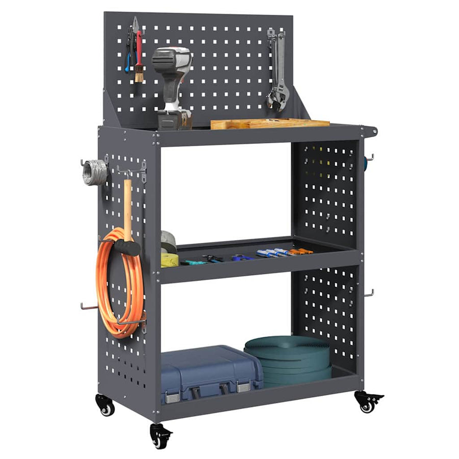 Gereedschapswagen Antraciet 65 x 35 x 111 cm Poedergecoat staal