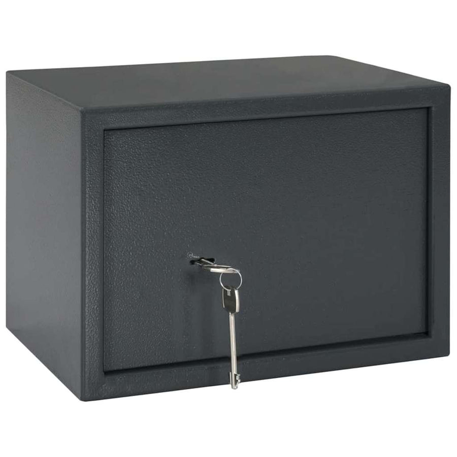 Kluisdoos met slot Donkergrijs 35 x 25 x 25 cm Staal