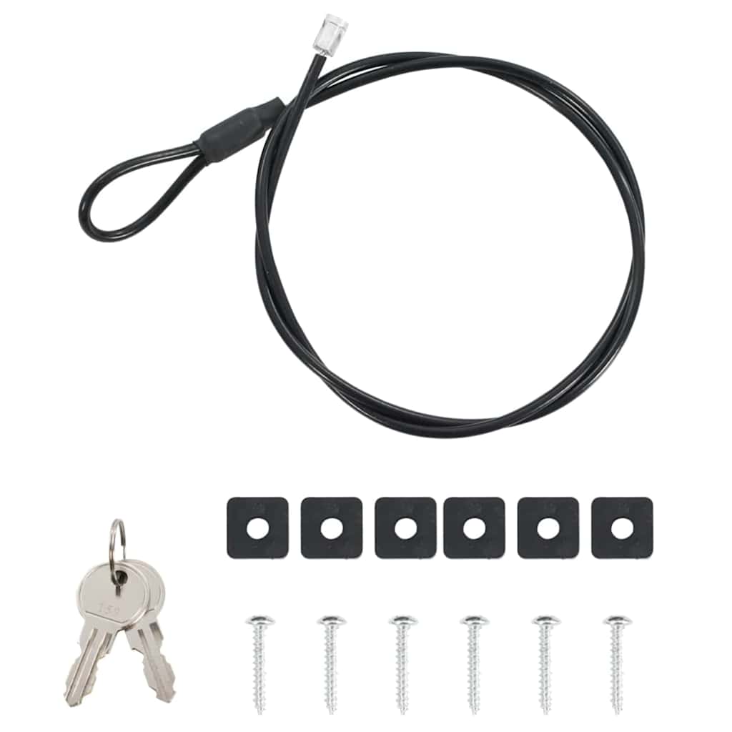 Auto Safe met slot Zwart 22 x 16 x 7 cm Staal