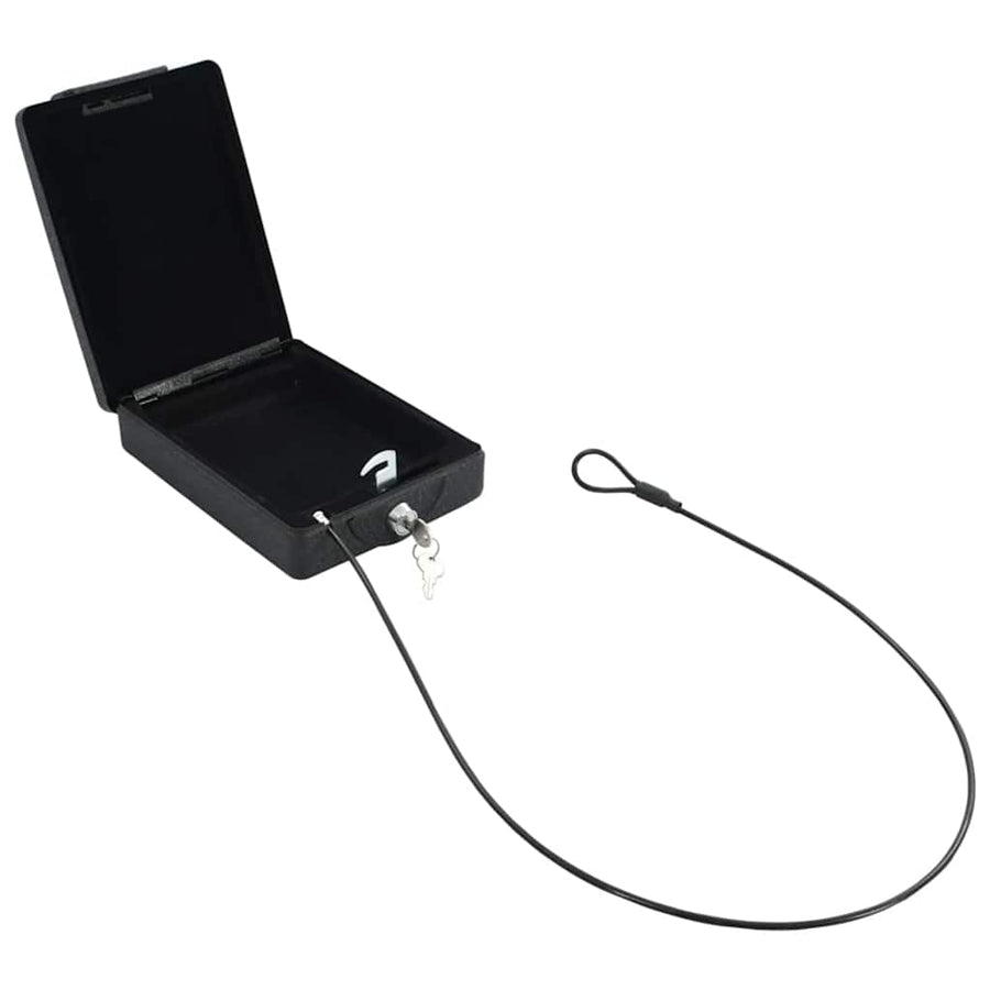 Auto Safe met slot Zwart 22 x 16 x 7 cm Staal