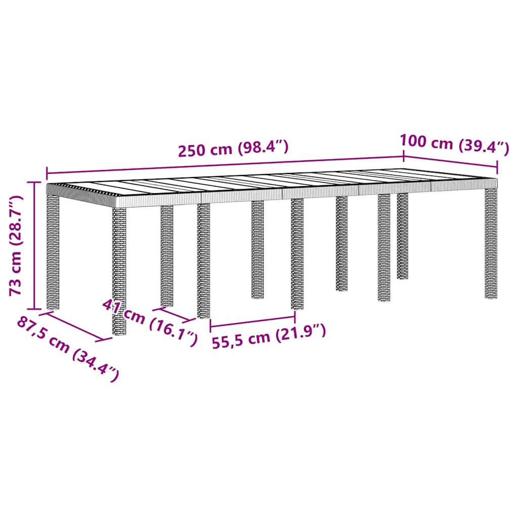 Tuinstafel Lichtgrijs 250 x 100 x 73 cm poly rattan