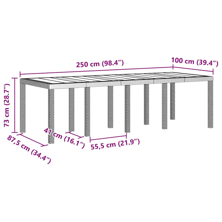 Tuinstafel Lichtgrijs 250 x 100 x 73 cm poly rattan