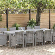Tuinset 13 delig lichtgrijs poly rotan
