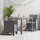 Tuin Eetset 3 st Lichtgrijs Polypropyleen