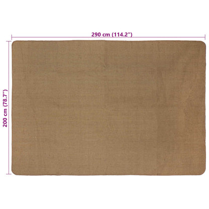 Gebied Tapijt Licht Bruin 200 x 290 cm Jute