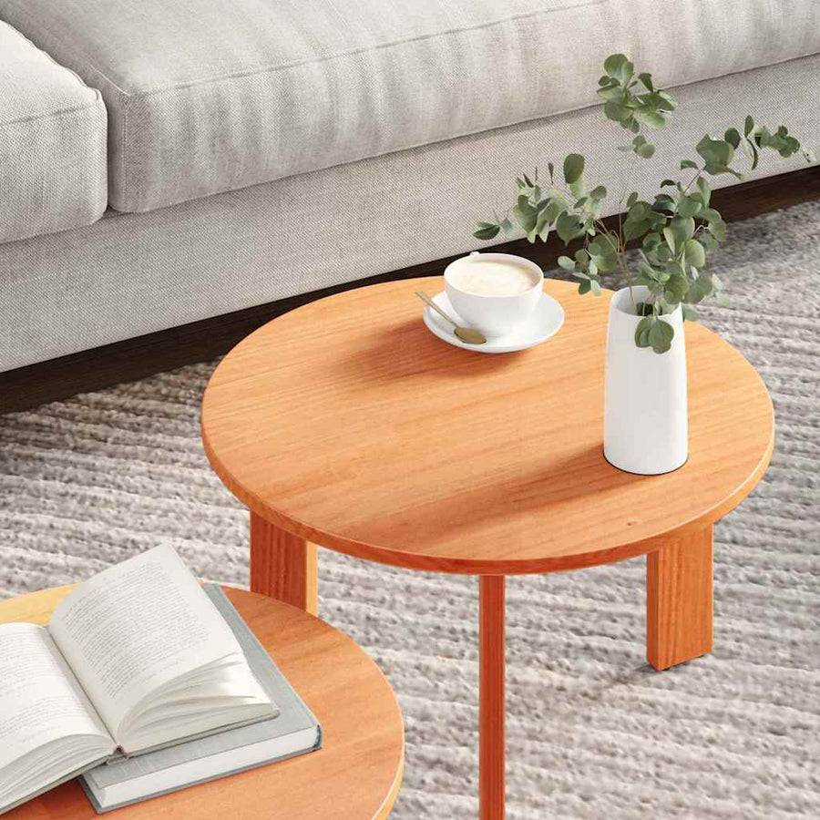 Koffietafel Set 2 pcs Wasbruin 47.5 x 47.5 x 27 cm