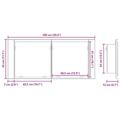 LED Spiegelkast Zwart Eiken 100 x 12 x 45 cm Bewerkt hout