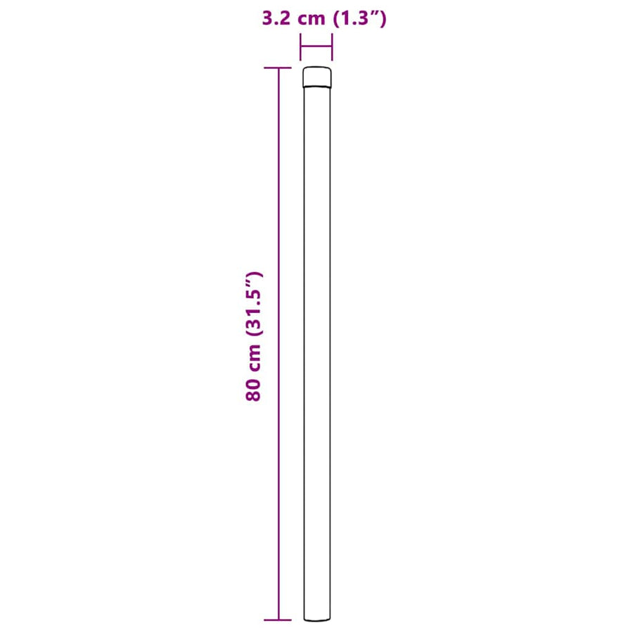Hekpalen 2 pcs Zilver 80 cm Gegalvaniseerd staal
