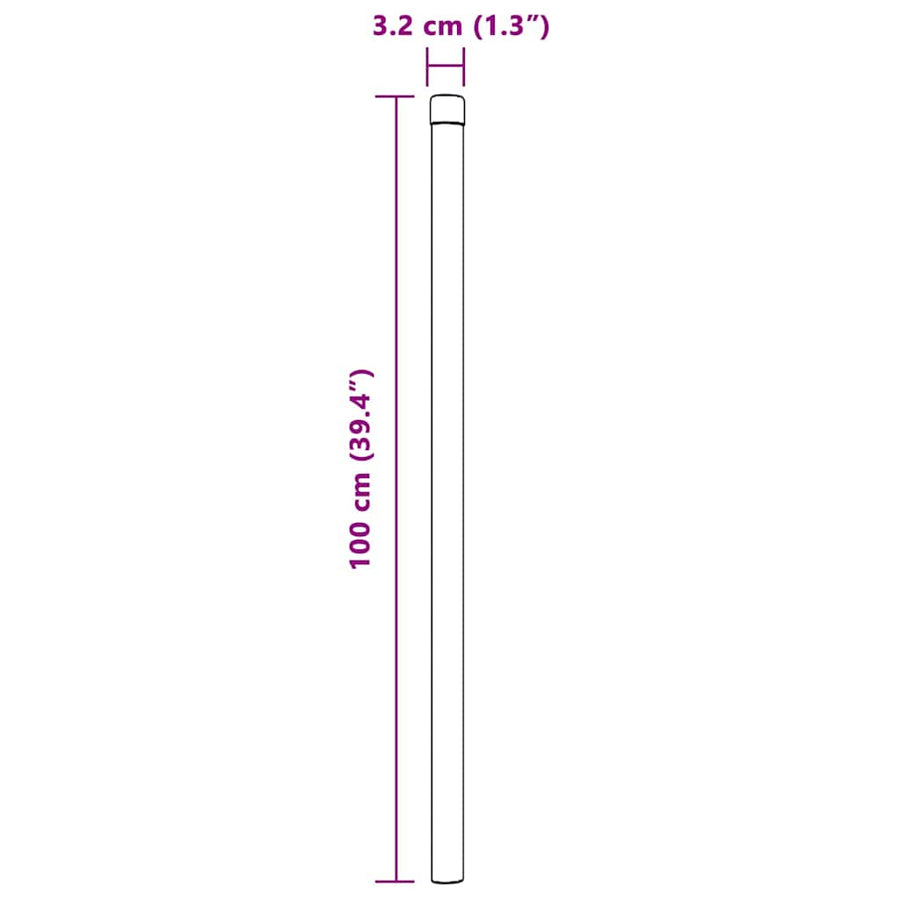 Hekpalen 2 pcs Zilver 100 cm Gegalvaniseerd staal
