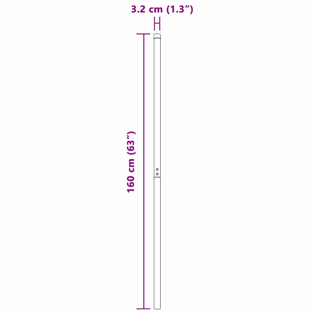 Hekpalen 2 pcs Zilver 160 cm Gegalvaniseerd staal