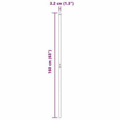 Hekpalen 2 pcs Zilver 160 cm Gegalvaniseerd staal