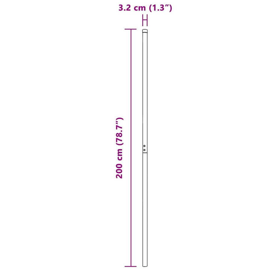 Hekpalen 2 pcs Zilver 200 cm Gegalvaniseerd staal