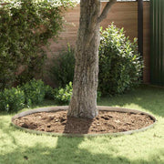 Tuinrand 450x10 cm roestvrij staal zilver
