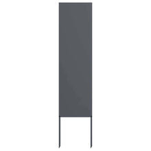 Tuin decoratief paneel Antraciet 32 x 140 cm Koudgewalst staal