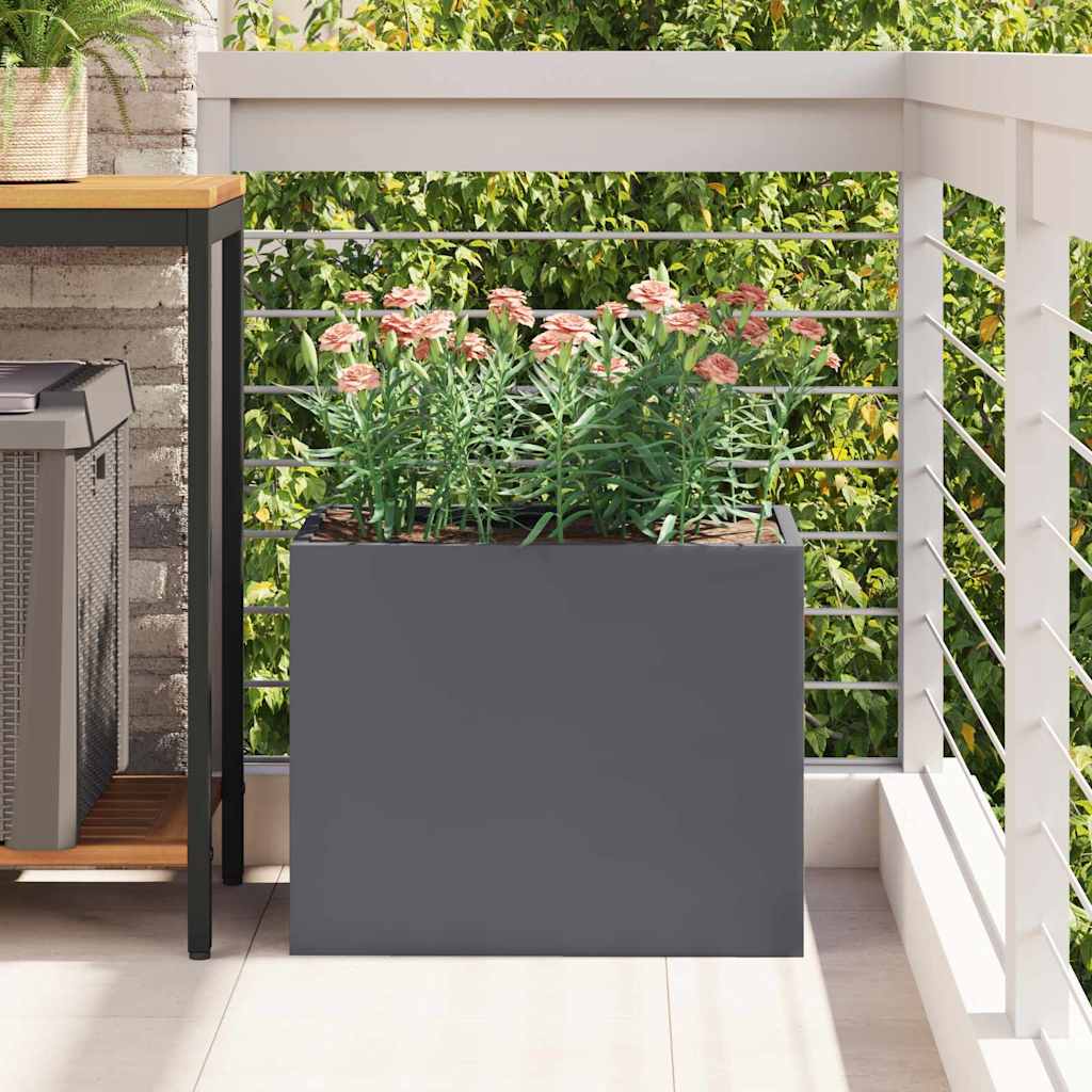 Plantenbak Antraciet 50 x 32 x 40 cm Koudgewalst staal