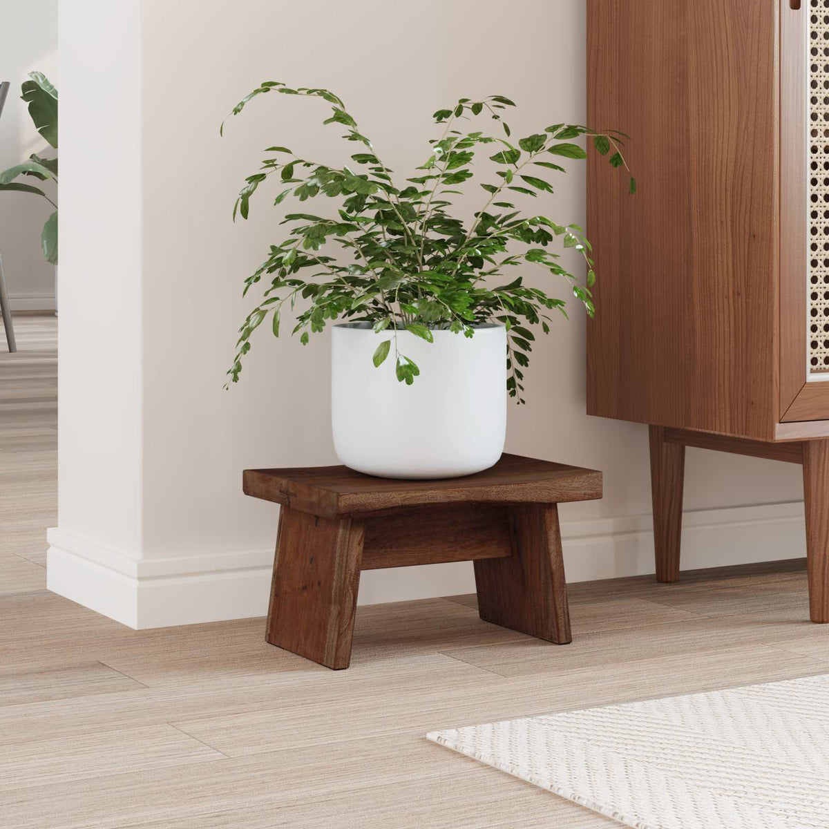 Kruk Naturel 29 x 20 x 17 cm Mahoniehout