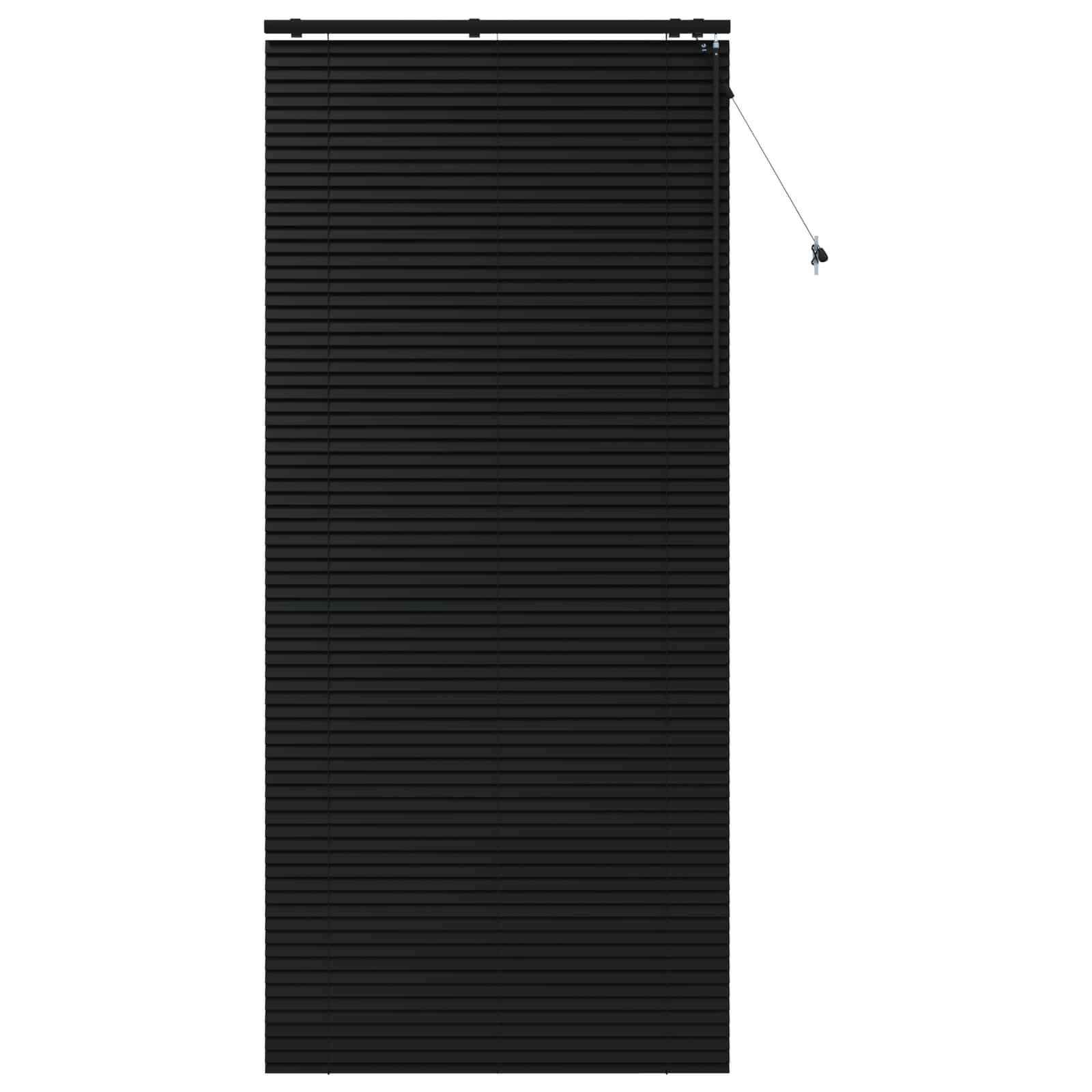 Jaloezie Zwart 120 x 250 cm 35 mm Massief Paulowniahout