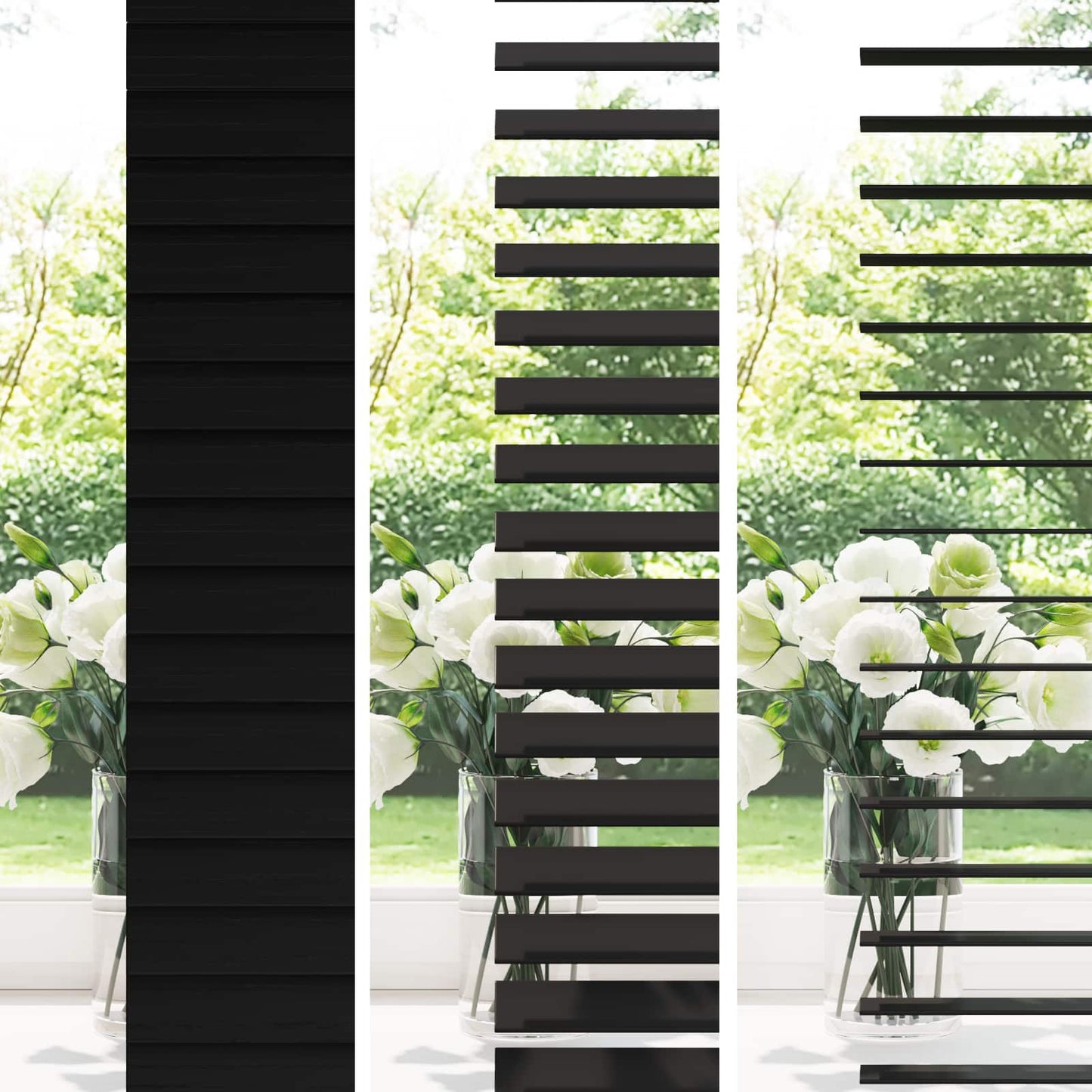 Jaloezie Zwart 125 x 250 cm 35 mm Massief Paulowniahout