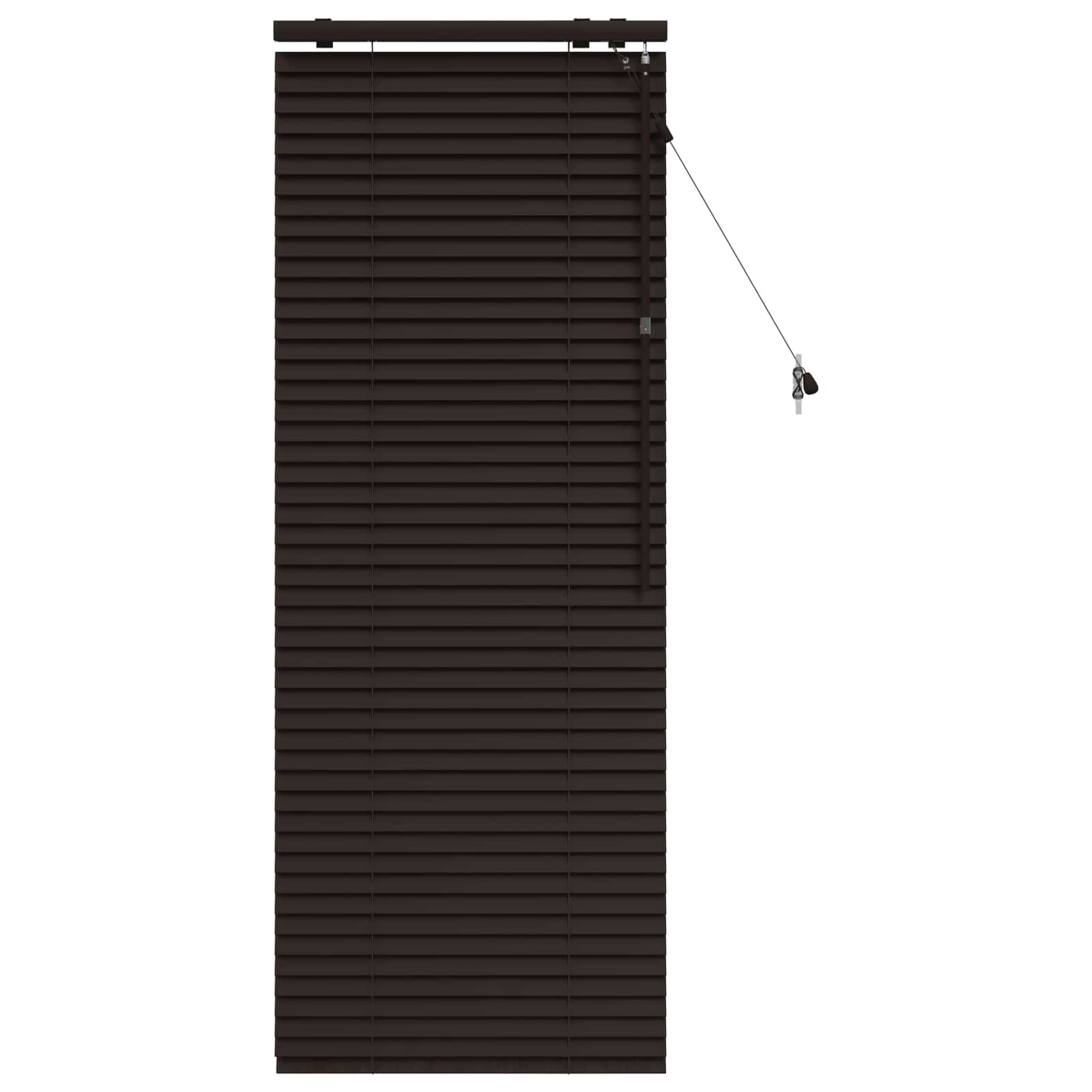 Jaloezie Donkerbruin 55 x 160 cm 35 mm Massief Paulowniahout