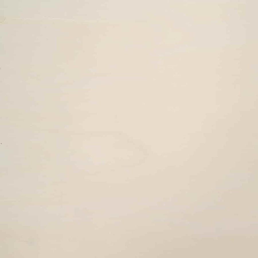 Muurdisplaykast met plank Beige 98 x 4,5 x 55 cm Bewerkt hout