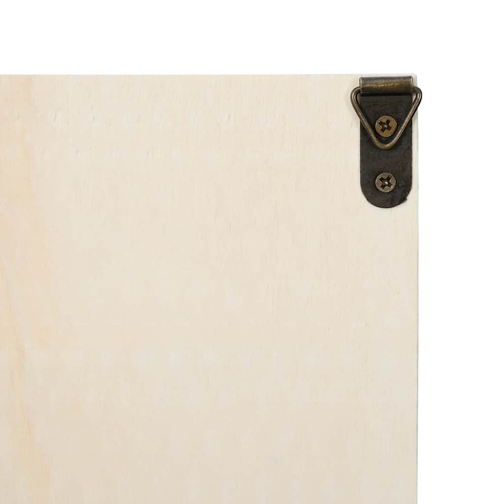 Houten verzameldisplaycase Bruin 60 x 8.5 x 37 cm Multiplex