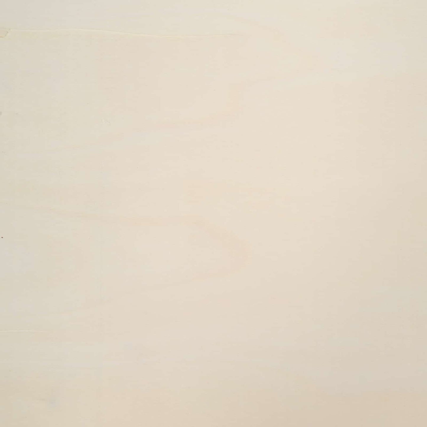 Muurdisplaykast met plank Beige 100 x 8,5 x 36 cm Bewerkt hout