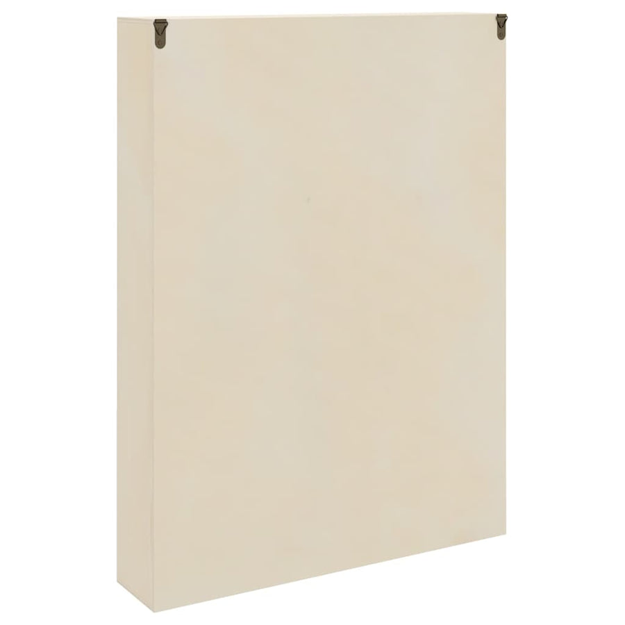 Houten verzameldisplaycase Bruin 40 x 8.5 x 54 cm Multiplex