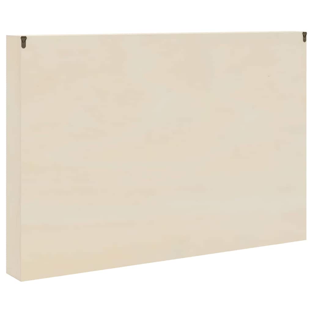 Houten verzameldisplaycase Bruin 80 x 8.5 x 54 cm Multiplex